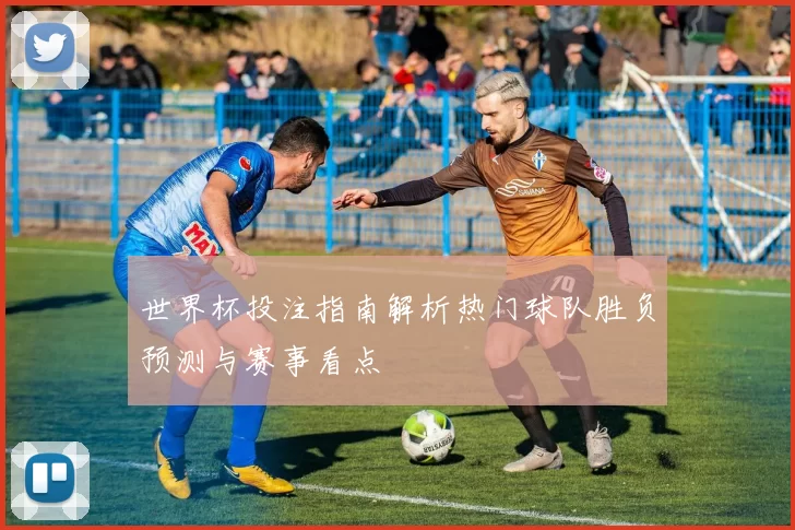 世界杯投注指南解析热门球队胜负预测与赛事看点